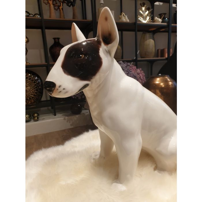 All white terrier outlet
