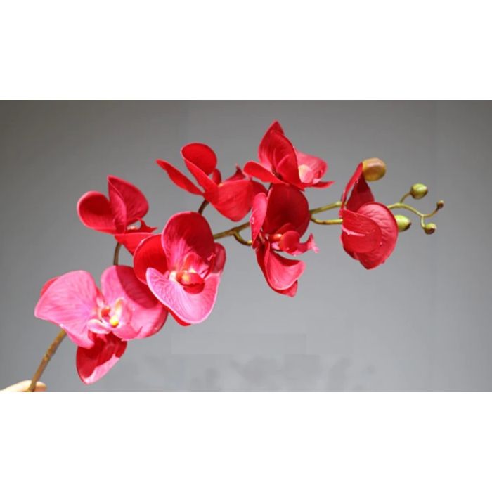 Orchidee Stengel 70cm, Kunstpflanze, Kunstorchidee bordeaux-rot,