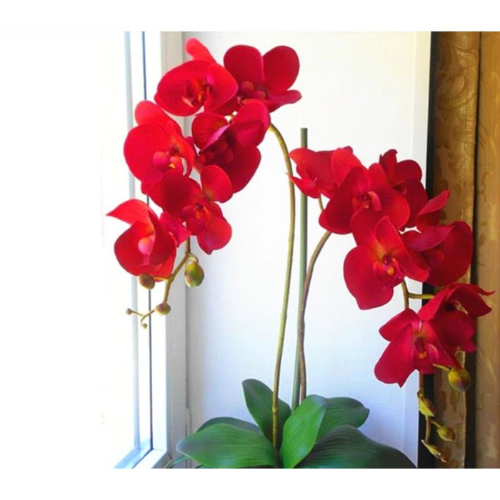 Orchidee Stengel bordeaux-rot, 70cm, Kunstorchidee Kunstpflanze