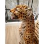 Gepard sitzend 88-90 cm natural Look mit Zunge