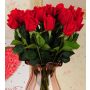 Rosen rot Kunstblume 57-58cm wie echt, real touch, Premium (Seide/Silikon)