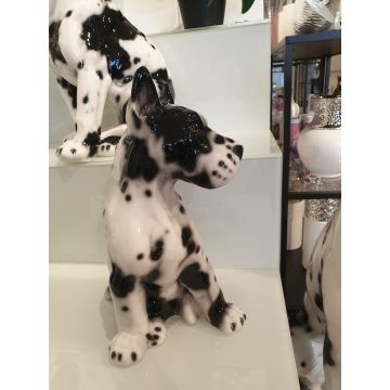 Great Dane puppy sitting 29 cm spotted