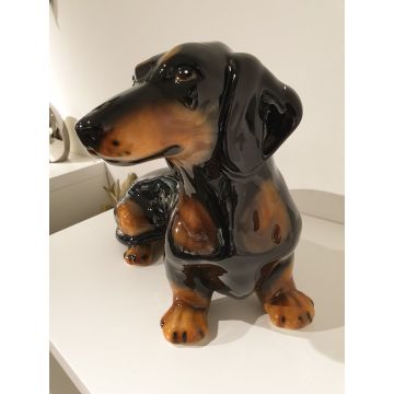 Dachshund (dachshund) 33cm x 27cm shorthair, black-red