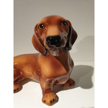 Dachshund (dachshund) 33cm x 27cm shorthair, red
