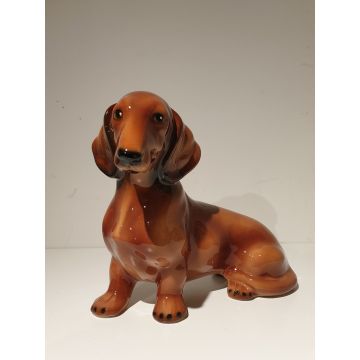 Dachshund (dachshund) 18cm x 15cm shorthair, red