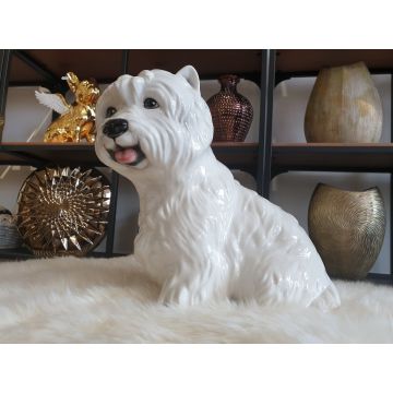 West Highland White Terrier assis 30 cm