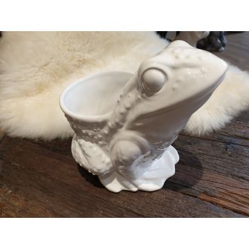 Pot de fleurs Grenouille, céramique 25 cm en blanc