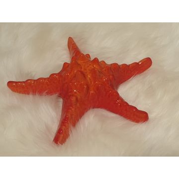 Étoile de mer en porcelaine rouge 17-19cm