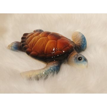 Meeresschildkröte Natur 17x16cm