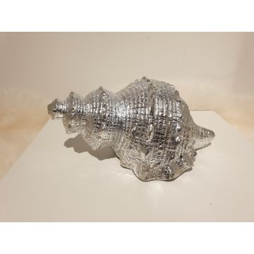 Marine decoration shell 21x14cm silver