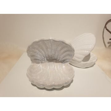 Marine decoration pearl shell 11x12.5cm permutt