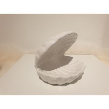 Marine decoration pearl shell 11x12.5cm white