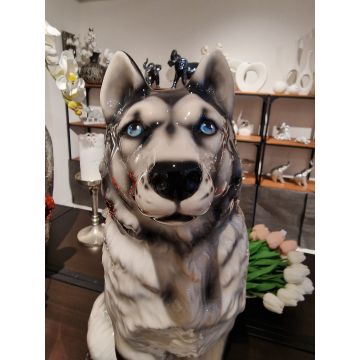 Siberian husky porcelain figurine 60cm