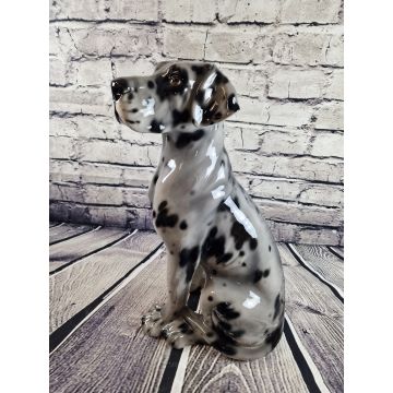 Deutsche Dogge sitzend ca.58 cm grautiger/merle