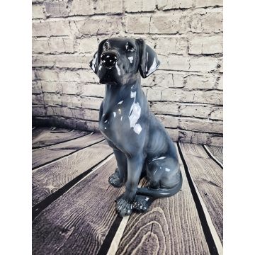 Deutsche Dogge sitzend ca.58 cm blau