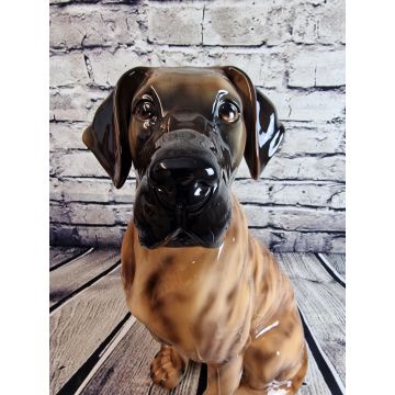 Deutsche Dogge sitzend ca.58 cm gelb/gestromt