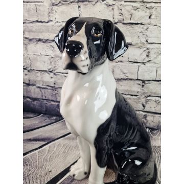 Deutsche Dogge sitzend ca.58 cm mantel