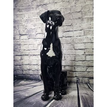 Deutsche Dogge sitzend ca.92cm schwarz