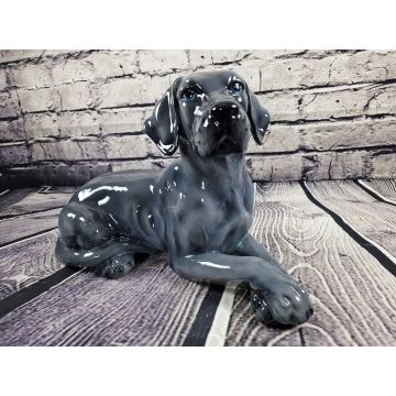 Great Dane puppy lying yellow