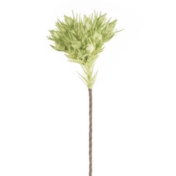 Kunstblume, Dekoblume, grün 75 cm