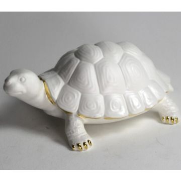 Schildkröte 40x17 cm exklusives Design - auf Anfrage auch mit Silber Deko