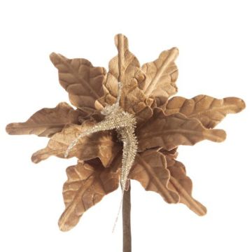 Fleur de Noël, marron, 26cm, décoration de Noël