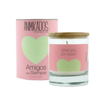 Scented candle, Frutos rojos, Friends for life, 40h Ambientair