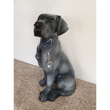 Dogue allemand assis 58 cm bleu