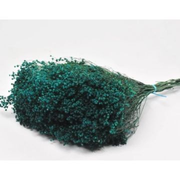 Broom Bloom Petrol green bunch approx. 50g for decorating, dried, dyed