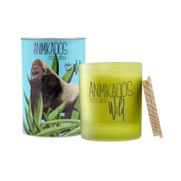 Scented candle, "Wild", " Gorilla, Amber Sunset", 40h Ambientair