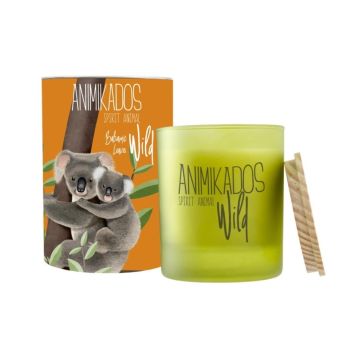 Scented candle, "Wild", "Koala, Balsamic Leaves",40h Ambientair
