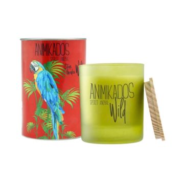 Scented candle, "Wild", "Parrot, Citrus Paradise",40h, Ambientair