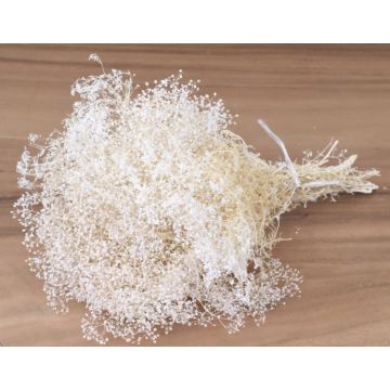 Gypsophila bleached bunch approx. 50g for decorating, dried, bleached