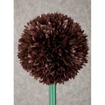 Fleur d'allium, fleur décorative, marron, 96 cm, tige flexible