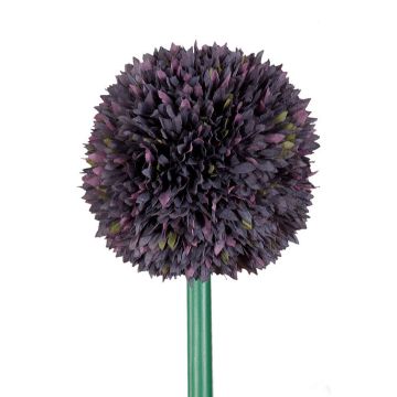 Allium flower, decorative flower, purple, 96 cm, bendable stem