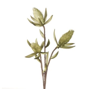 Decorative flower, olive-green, 82 cm, bendable stem and blossom