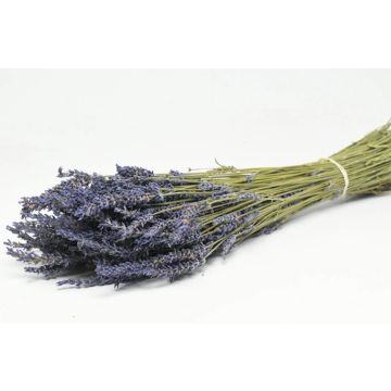 Lavande/lavendin 50gr/50cm botte pour décorer, séchée, parfumée