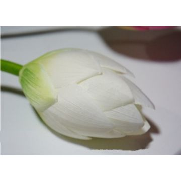 Bouton de lotus, fleur décorative, blanc, 90cm, tige flexible