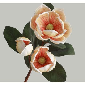 Magnolie, Kunstblume, Magnolienast, 75cm weiss-orange