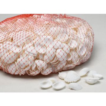 White Chippi shells 100g for decorating, natural