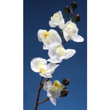 Orchidee Stengel weiss, 82-83cm, Kunstpflanze, Kunstorchidee