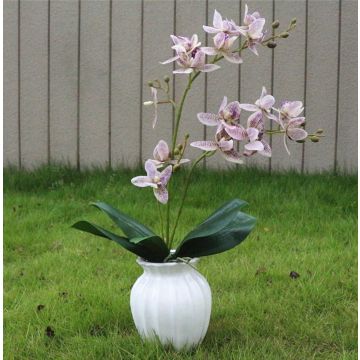 Plante d'orchidée lilas, 55cm, plante artificielle, orchidée artificielle