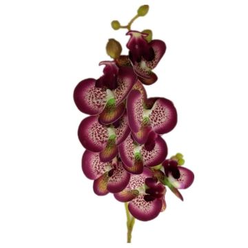 Orchidée tige rose-bordeaux-rouge, 69cm, plante artificielle, orchidée artificielle