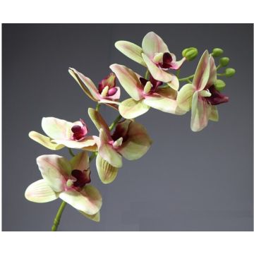Orchidee Stengel weiss-grün-bordeaux, 70cm, Kunstpflanze, Kunstorchidee