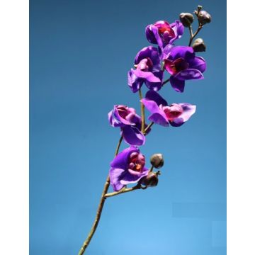 Orchidee Stengel violett, 82-83cm, Kunstpflanze, Kunstorchidee