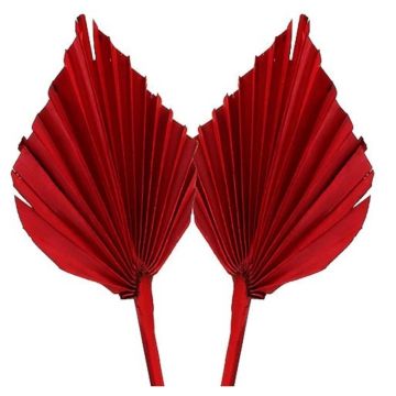 Natural palm leaf for decorating, dried, in red 40-50cm