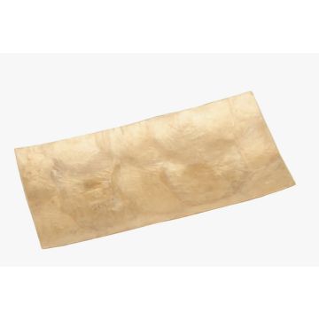 Maritime Dekoration Tablett Gold Perlmutt 20x10cm