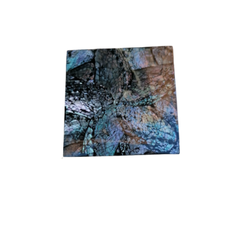 Décoration marine Dessous de verre - Set x6 Abalone nacré 10x6cm