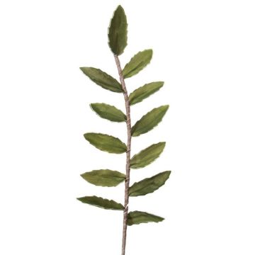 Dekoast fleur artificielle, 76 cm vert pour décorer
