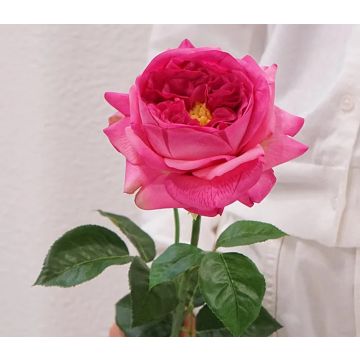 Austin Rose pink Kunstblume 13x69cm, wie echt, real touch Premium (Seide/Silikon)